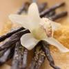 Madagascar Vanilla
