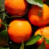 Mandarin Orange