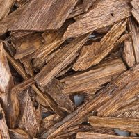 Woody Notes